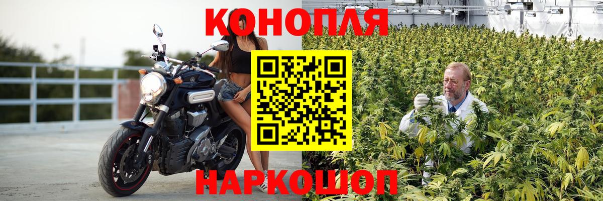 Бошки марихуана THC 21% Дзержинск